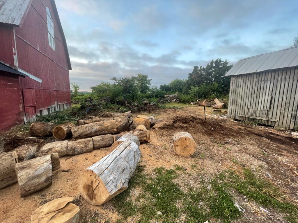 Large wood logs on property waiting to be split