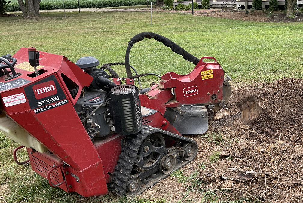 Small Project: Grinding the Stumps