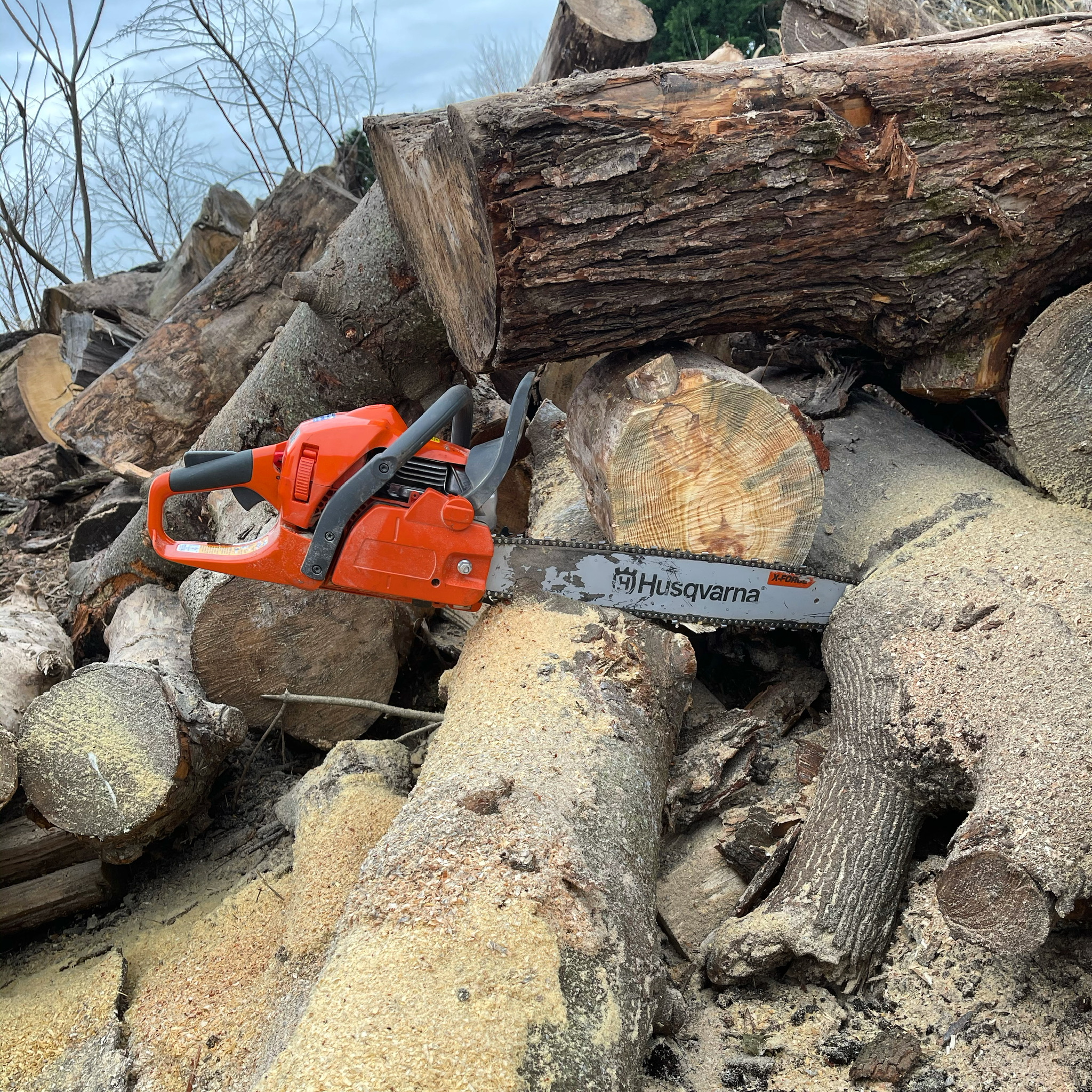 Husqvarna 450 Rancher